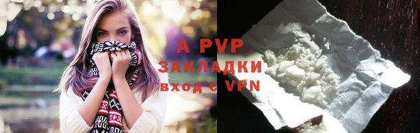 PSILOCYBIN Киренск