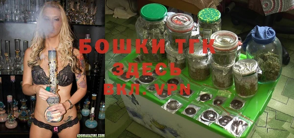 PSILOCYBIN Киренск